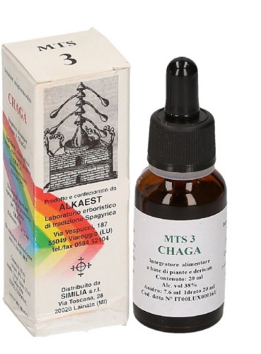 CHAGA (Inonotus obliquus) 20 ml - MTS 3