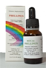 PHELLINUS (Fomes ignarius L.) 20 ml - MTS 14