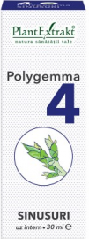 Polygemma 04 - Wspomaganie zatok