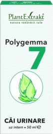 Polygemma 07 - Drogi moczowe